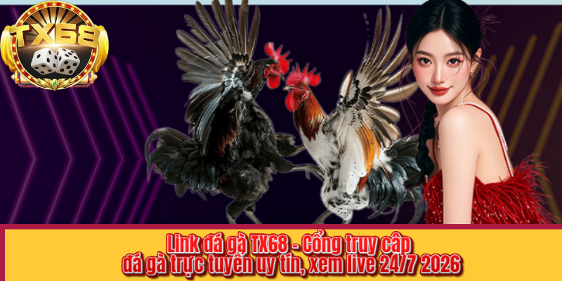 Link đá gà TX68 – Cổng truy cập đá gà trực tuyến uy tín, xem live 24/7 2026
