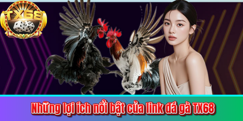 Những lợi ích nổi bật của link đá gà TX68