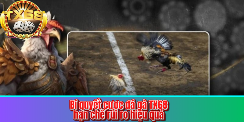 Bí quyết cược đá gà TX68 hạn chế rủi ro hiệu quả