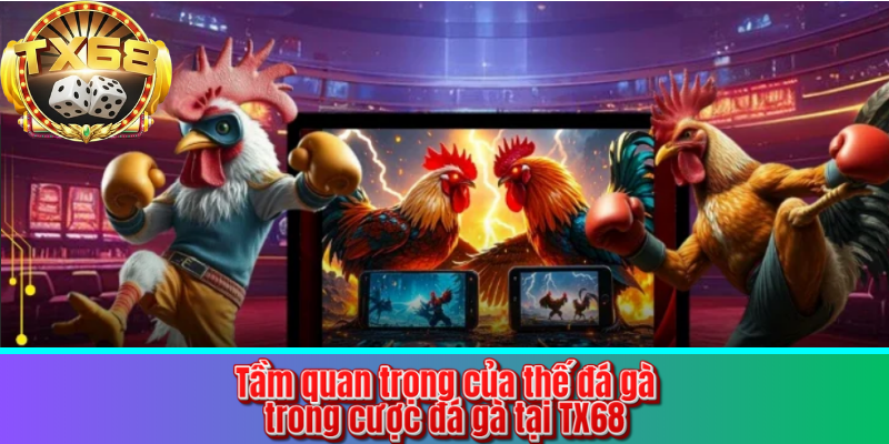 Tầm quan trọng của thế đá gà trong cược đá gà tại TX68